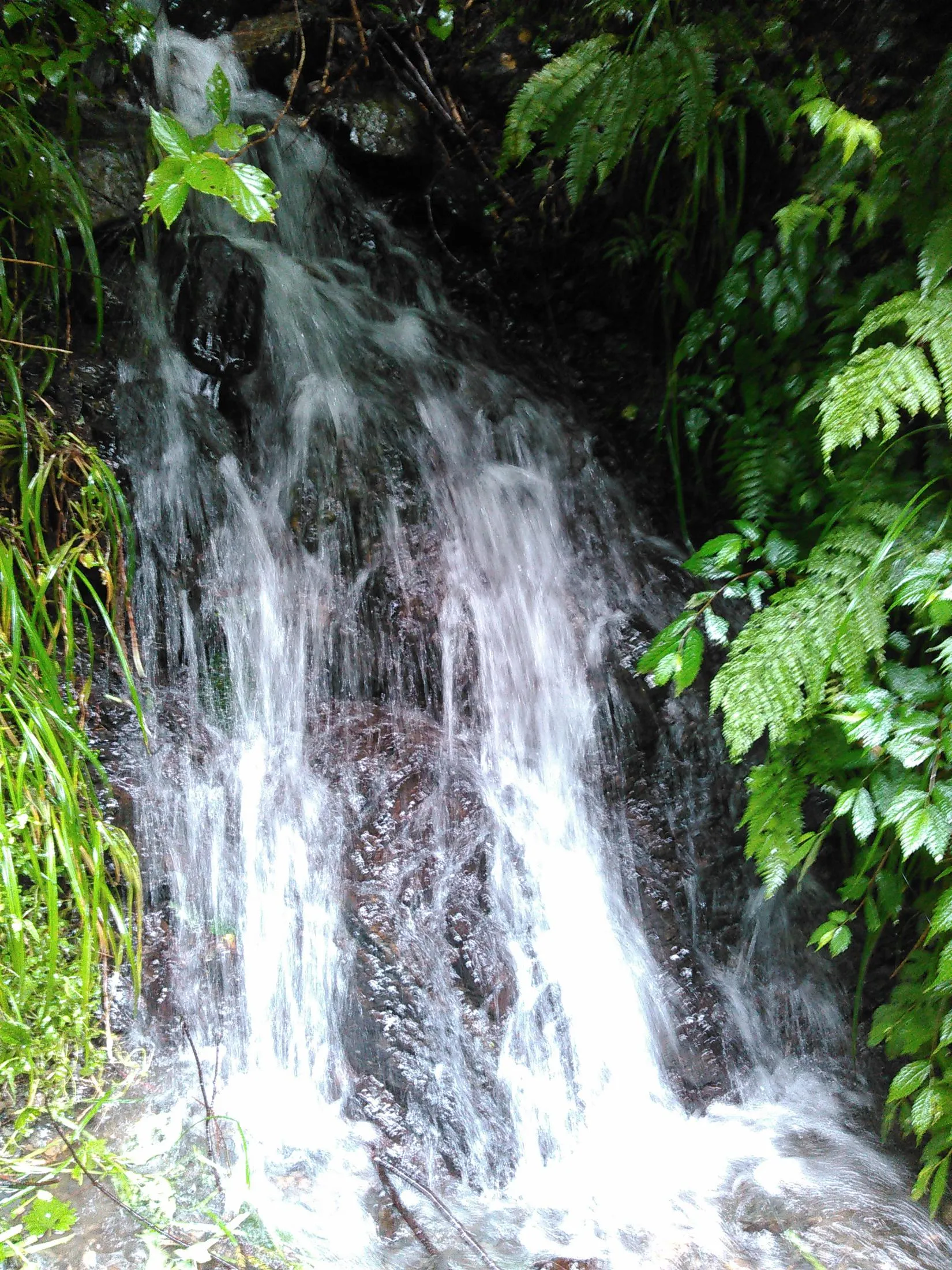 箱館山の雪解け水